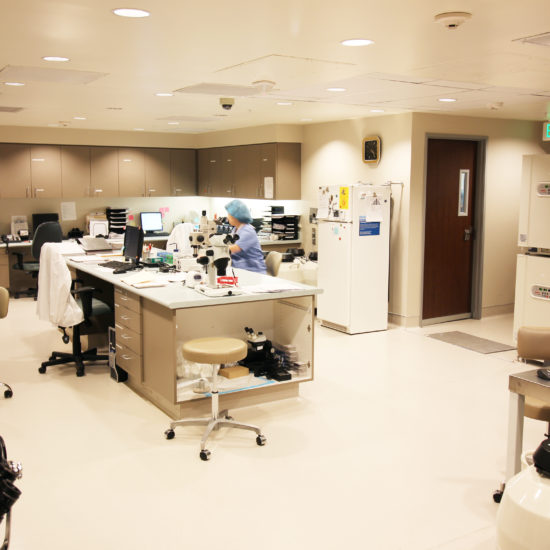 HRC – IVF Lab