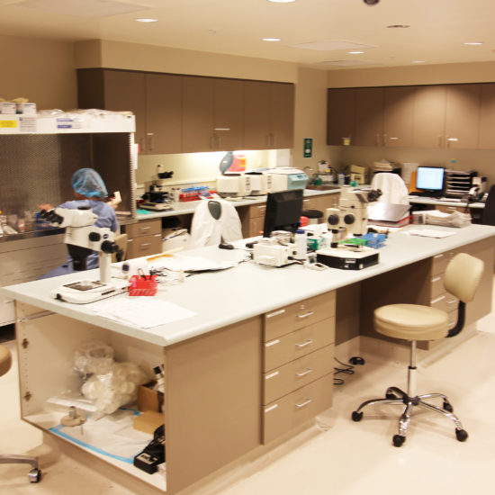 HRC – IVF Lab